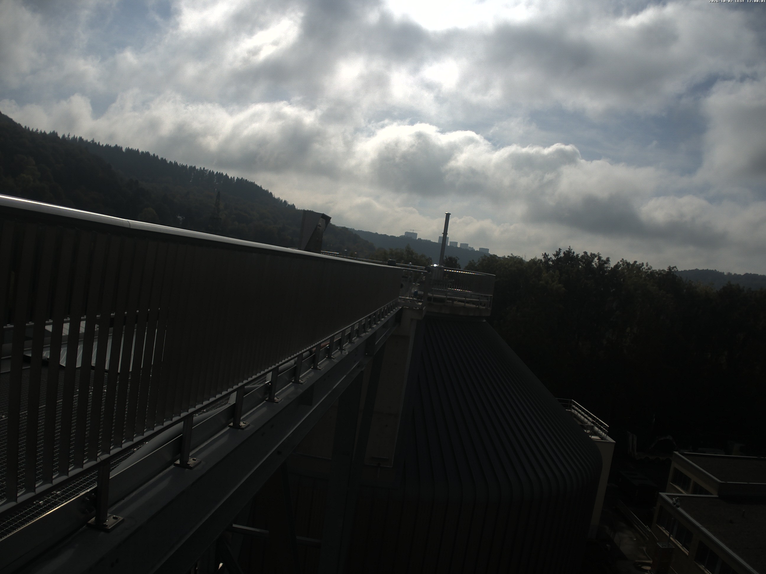 image alt beggen live