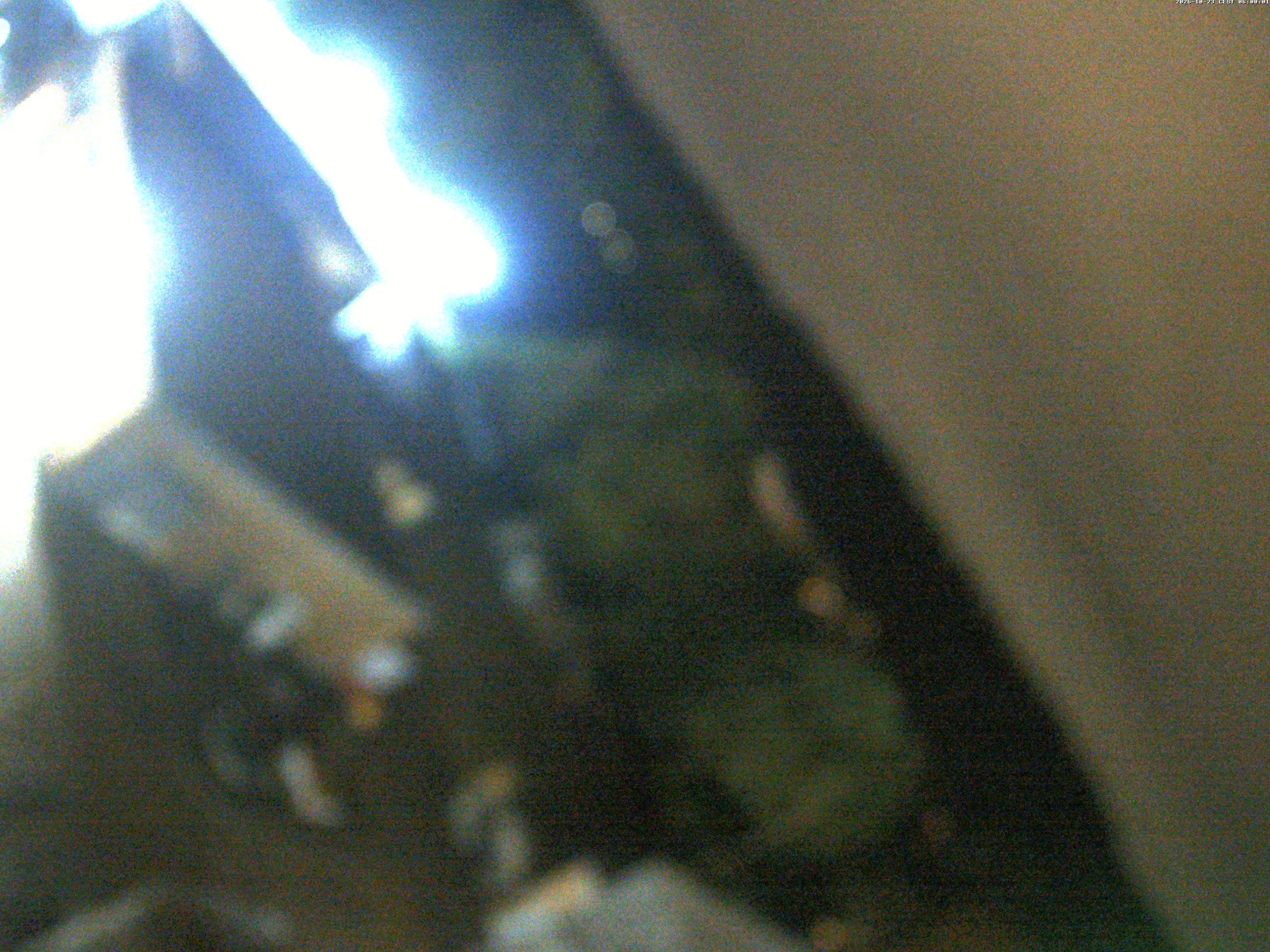 image alt beggen live