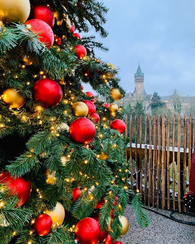 Petition to celebrat...