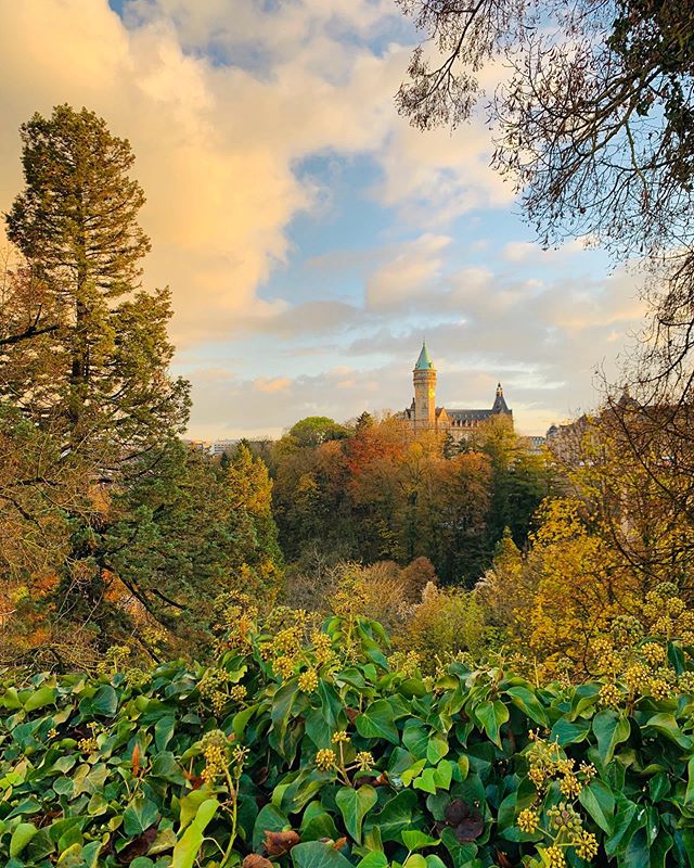 Saturday, where have...