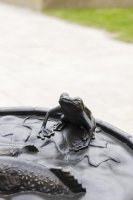 Image de la sculpture de Midde Waasserdréier