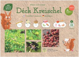 Le groseillier à maquereau (Ribes uva-crispa), connu sous le nom « Déck Kréischel » en luxembourgeois et « Stachelbeere » en allemand, est un arbuste de 1 à 1,5 mètre. Il fleurit d’avril à mai et ses fruits sont récoltés de juin à juillet. Leur goût est à la fois acidulé et doux. Ils conviennent aux compotes, confitures, sirops, tartes, gâteaux et desserts.