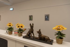 Chalet des Hondsfrënn Bouneweg rénové et modernisé