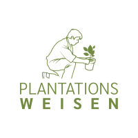 Plantations Weisen