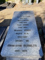 Putty Stein