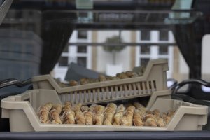 Image d'un Bretzel accroché à un vieux bus