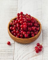 Le groseillier rouge