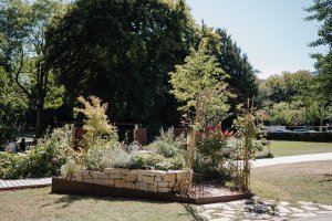 « Bléiend Oase mat séissen Iwwerraschungen »