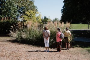 TERRA - Les quatre saisons au potager