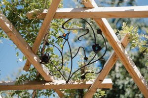 Pergola bionique