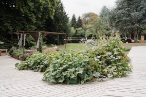 TERRA - Les quatre saisons au potager