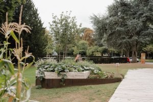 Verdure en trois temps : Une réponse au climat de demain 