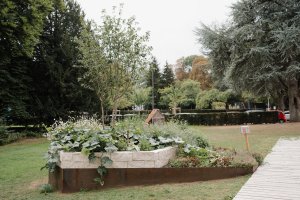 Verdure en trois temps : Une réponse au climat de demain 