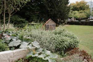 Verdure en trois temps : Une réponse au climat de demain 