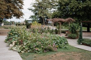 TERRA - Les quatre saisons au potager