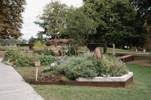 Verdure en trois temps : Une réponse au climat de demain 