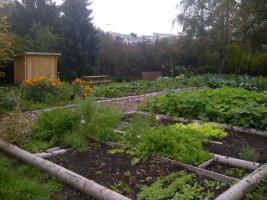 jardin communautaire Limpertsberg