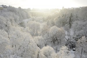 Panorama de la Ville en hiver