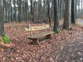 banc en bois dans la forêt Bambësch