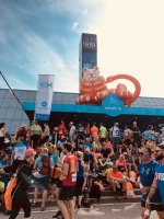 Illustration de l'ING NIGHT MARATHON 2018