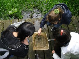 activités-nature _ enfants en forêt