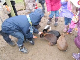 activités-nature _ enfants et animaux