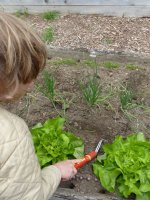 activités-nature _ enfants au jardin