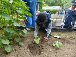 activités-nature _ enfants au jardin