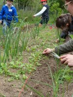 activités-nature _ enfants au jardin