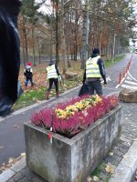 action de ramassage de déchets en collaboration avec sea shepherd le 23 novembre 2019
