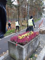 action de ramassage de déchets en collaboration avec sea shepherd le 23 novembre 2019