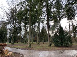 Limpertsberg - Parc Tony Neuman