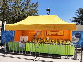 D'Stad lieft_2020_Stand
