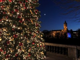 Winterlights 2020