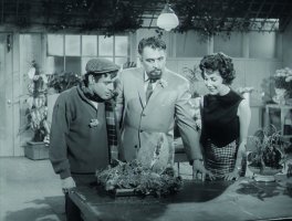 The Little Shop of Horrors