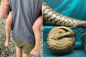 Instincts. Same but different