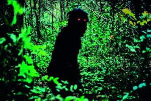 Oncle Boonmee, celui qui se souvient de ses vies antérieures