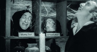 Young Frankenstein