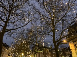 Winterlights 2021 - Illuminations