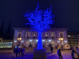 Winterlights 2021 - Illuminations