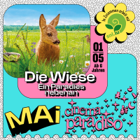 Die Wiese – Ein Paradies nebenan