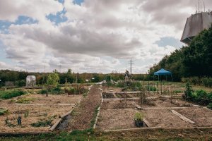 Vue sur le jardin communautaire en automne