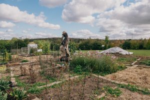 Vue sur le jardin communautaire en automne
