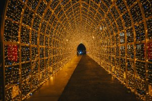 Impressions du Wanterpark