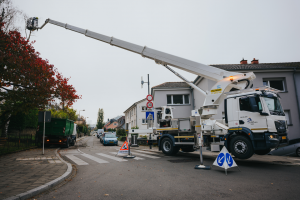 Image d'un camion du Service Parcs avec un ouvrier dans la nacelle en train de couper un arbre