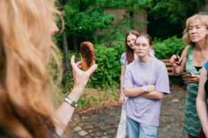 un nid de miel est présenté aux participants