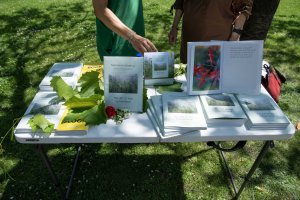 Portraits of Plants