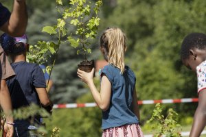 Photos prises pendant la plantation ensemble avec les enfants