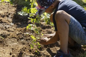 Photos prises pendant la plantation ensemble avec les enfants