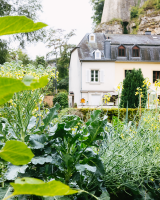 Image du jardin communautaire